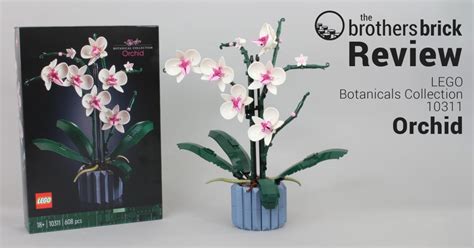 LEGO Botanicals Collection 10311 Orchid-TBB Review-KYSSL-Cover - The ...