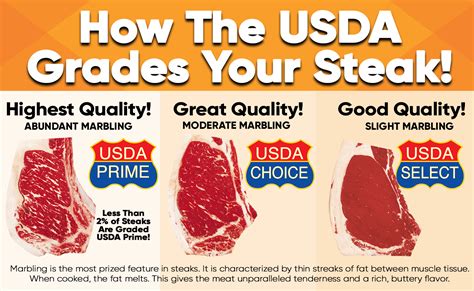 Usda Beef Cuts Chart | Images and Photos finder