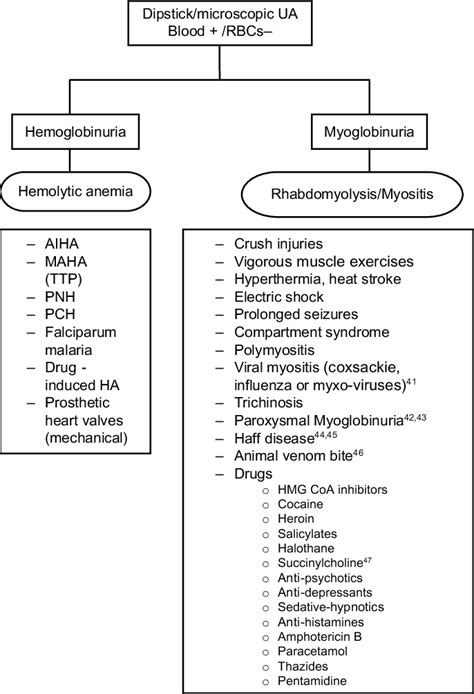 Hemoglobinuria and Myoglobinuria. Abbreviations: AIHA, Autoimmune ...