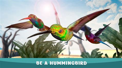 Humming Bird Wildlife Simulator Game: Flower Eating Bright Color Dash ...