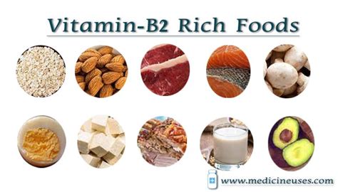 Top 10 Indian Foods Rich In Vitamin B2