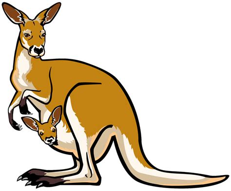 joey kangaroo clipart - Google Search | clip art | Canguros