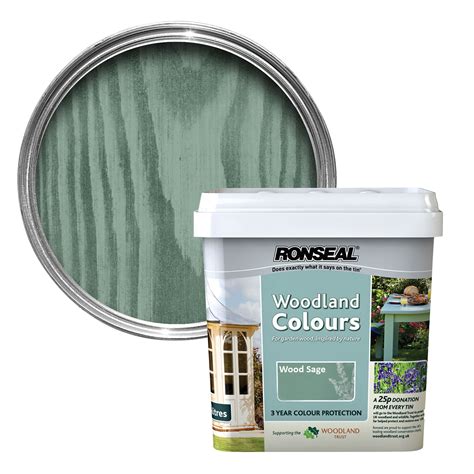 Ronseal Woodland Colours Wood Sage Matt Wood Stain 5L | Departments ...