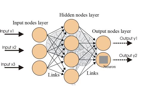 Neural Network