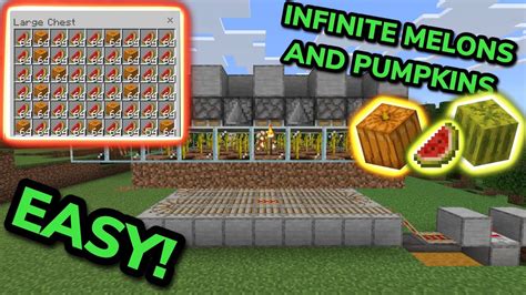 Minecraft Pumpkin Farm Layout