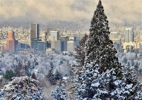 City Pictures, Christmas Snow, Portland Oregon, San Francisco Skyline ...