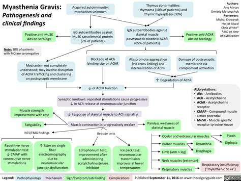 Myasthenia Gravis: Pathogenesis and Clinical Findings | Calgary Guide