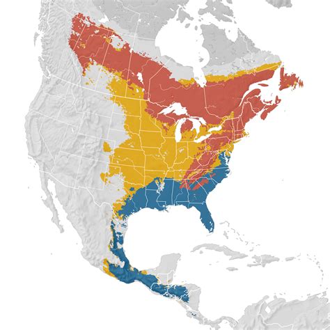 Blue-headed Vireo - Range map - eBird Status and Trends