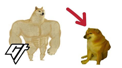 Doge Memes