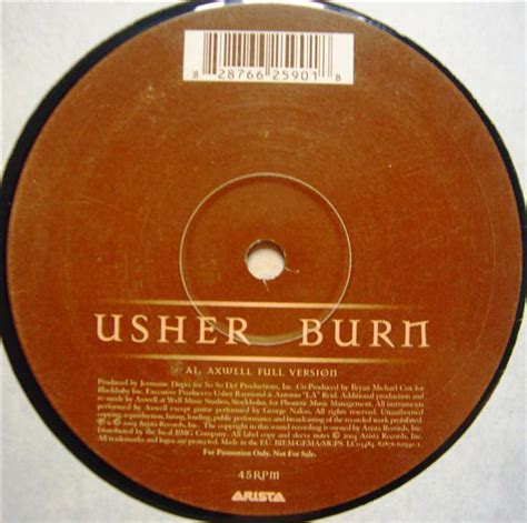 Usher - Burn (2004, Vinyl) | Discogs