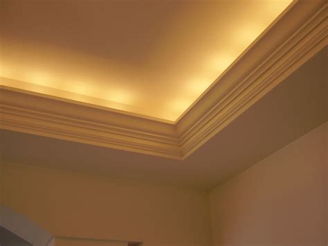 Tray Ceiling with Indirect Lighting & Cove Molding | Modular Homes by ...