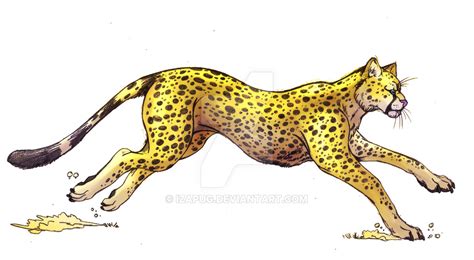 Cheetah Running Drawing at GetDrawings | Free download