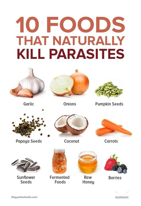 10 Foods That Naturally Kill Parasites (& Signs You Might Have a ...