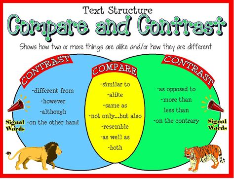 How to Write Compare and Contrast Essay | Blog CheapEssay.net