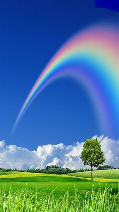 Rainbow, nature, tree, HD phone wallpaper | Peakpx