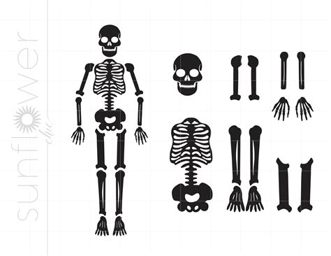 Halloween SVG Skeleton Svg Clipart Halloween Skeleton Cut - Etsy