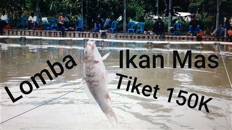 Lomba mancing Ikan mas - YouTube