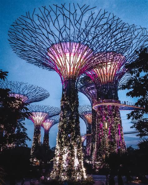 Gardens by the Bay, Supertree Grove + Cloud Forest Dome - Travel In Our ...