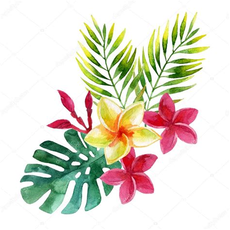 Plumeria flowers in watercolor — Stock Photo © Tetiana_Syrytsyna #114433128