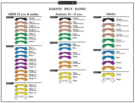 BELT RANK SYSTEM | Tenshin-Kai Tai Chi/Karate