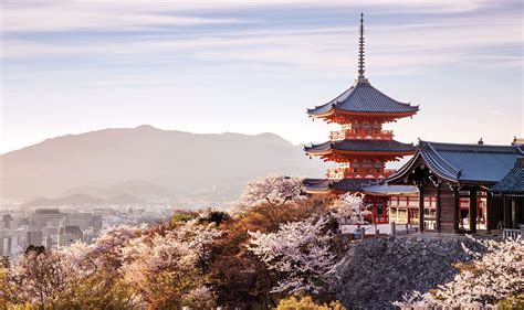 When to See Japan’s Cherry Blossoms and Where to Stay - Travelogues ...