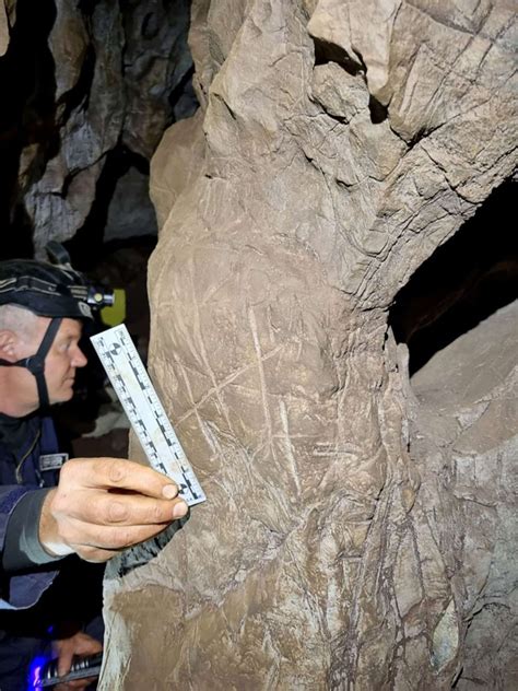 Homo naledi: 1st species outside of humans to bury their dead ...