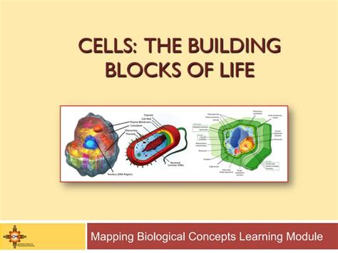 Cells_Building_Blocks_Presentation.pdf