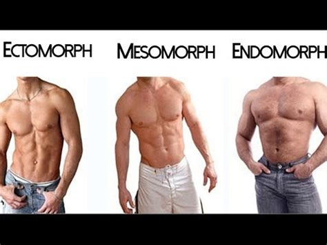 The Somatotype Myth: Ectomorph Mesomorph Endomorph - YouTube