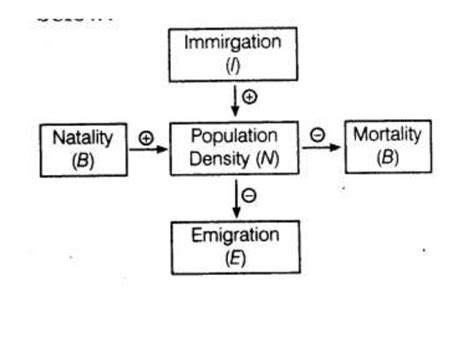 Presentation on natality by amin