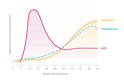 How To Deal With Pregnancy Hormones - Godwater28