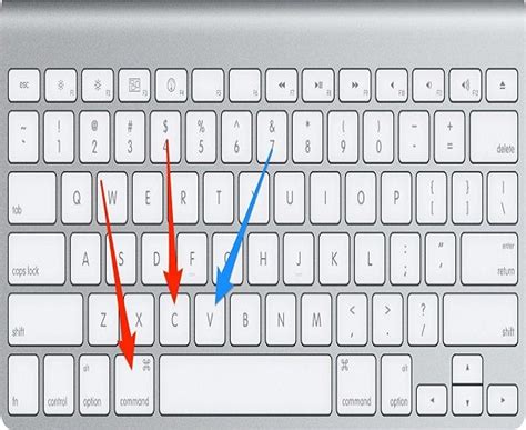 How to Copy and Paste on Mac ( Cut - Copy - Paste Files Shortcut )