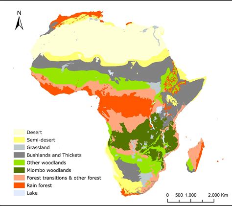 Ecosystem African Savanna Map - Pets Lovers