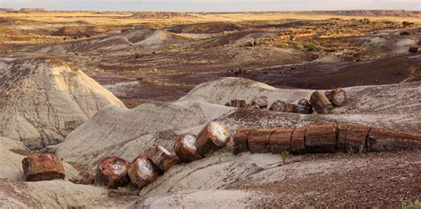 Petrified Forest National Park