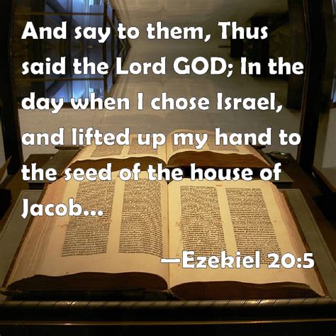 Ezekiel 20:5 And say to them, Thus said the Lord GOD; In the day when I ...