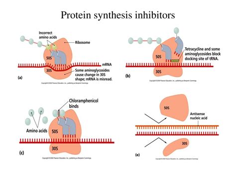 PPT - Antimicrobial Agents PowerPoint Presentation, free download - ID ...