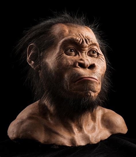 Age of Ape-Human Species Homo naledi Revealed: 236,000 to 335,000 Years Old