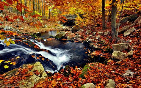 Autumn Creek Wallpapers - Top Free Autumn Creek Backgrounds ...