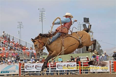 Saddle Bronc Riding