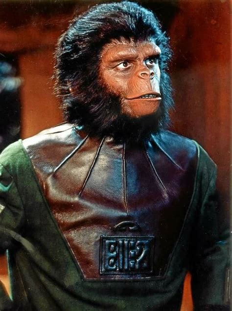 Pin by John Farnum on Planet of the Apes - Originals in 2020 (With ...