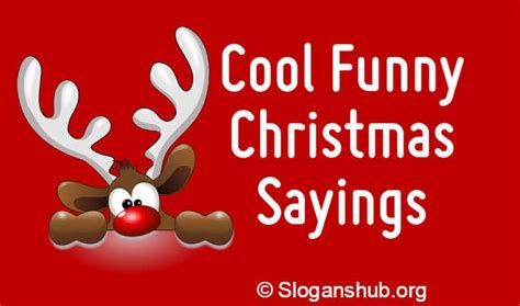 a funny christmas saying with a reindeer peeking out from behind the ...