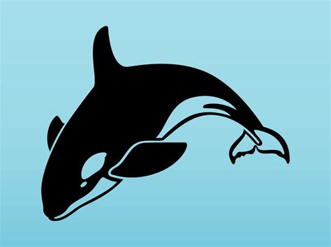 Orca Vector Vector Art & Graphics | freevector.com