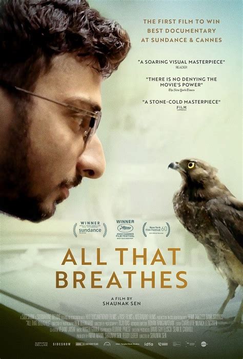 All That Breathes Movie Review - Shaunak Sen's Documentary Is A ...