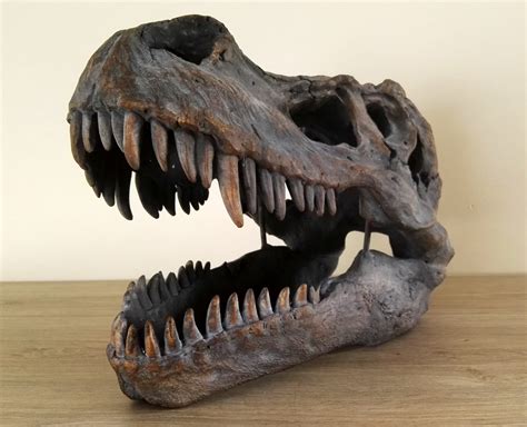 A Large T-rex skull Wall mounted Dinosaur head | Etsy