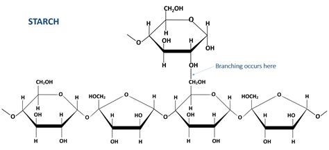 1.9: Biomolecule Detection - Biology LibreTexts