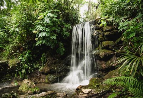 Rainbow Springs State Park | Florida State Parks