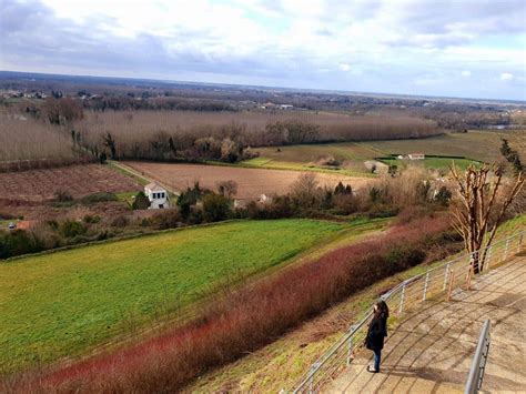 The best wine tours in Bordeaux - Lost in Bordeaux