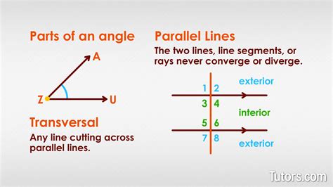 Alternate Interior Angles - Definition, Theorem & Examples