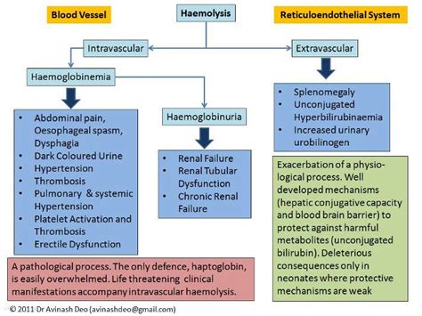 Hemolysis Diagram | Medical Laboratories