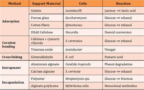 Enzyme Immobilization: Method & Application | EasyBiologyClass