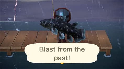 Coelacanth while thunderstorm : r/AnimalCrossing